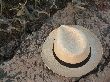 Cliquez ici pour voir l'image (119.jpg)