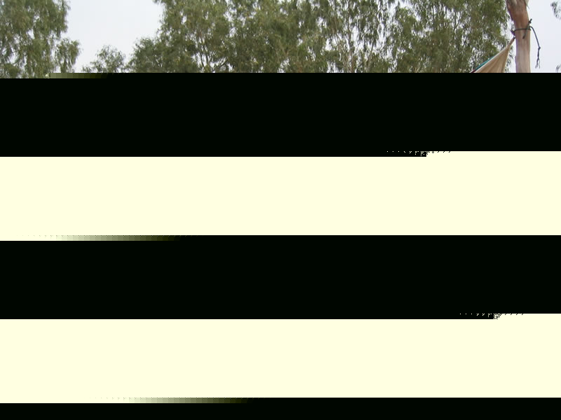 071