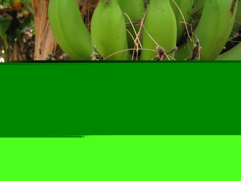 131