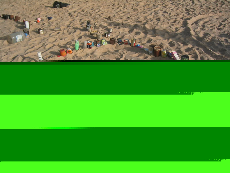 231