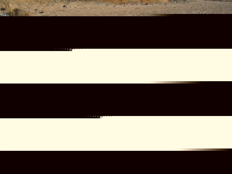 232